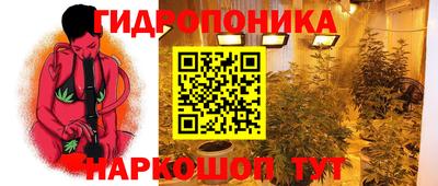 молекула духа Анапа