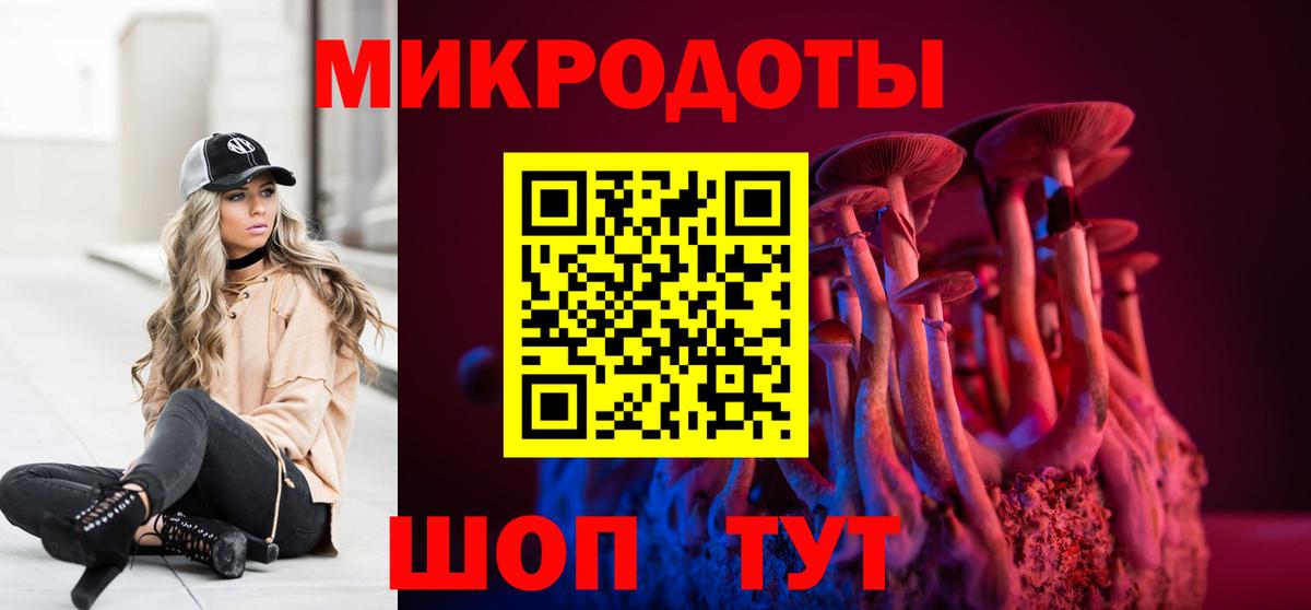 Губкинский  Псилоцибиновые грибы Cubensis  Вход с VPN 